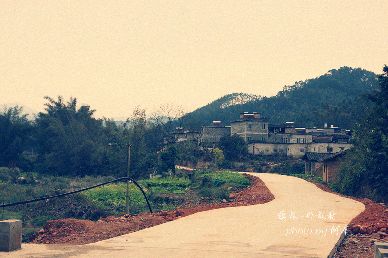 那龙 (5).jpg