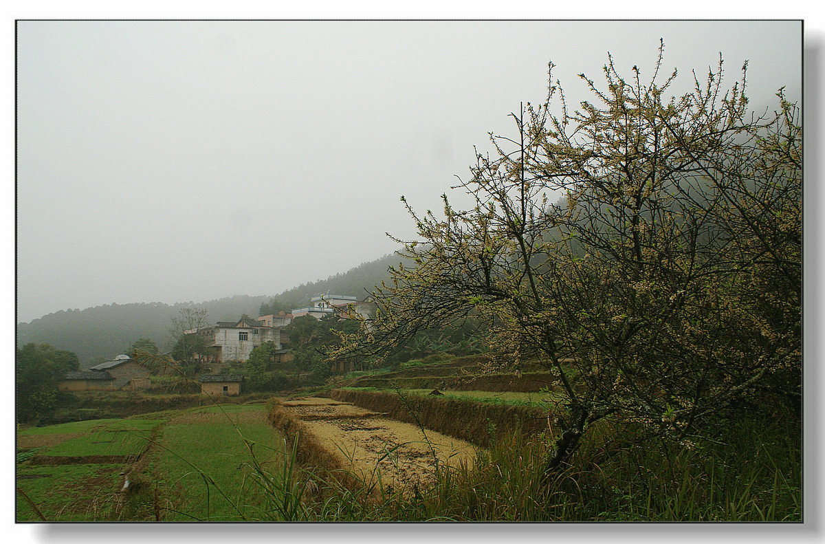 DSC08235.JPG