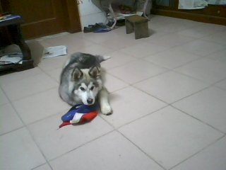 img0119_225358370.jpg
