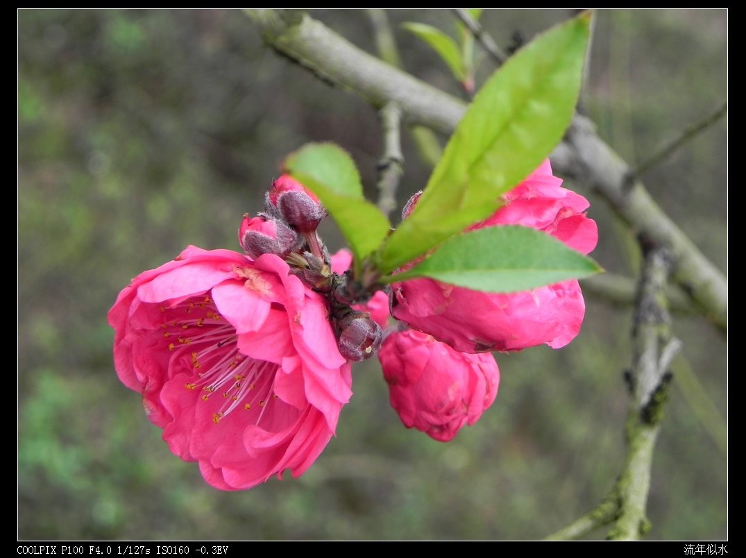 DSCN2458.JPG