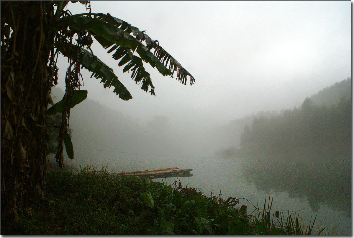 DSC08724.JPG
