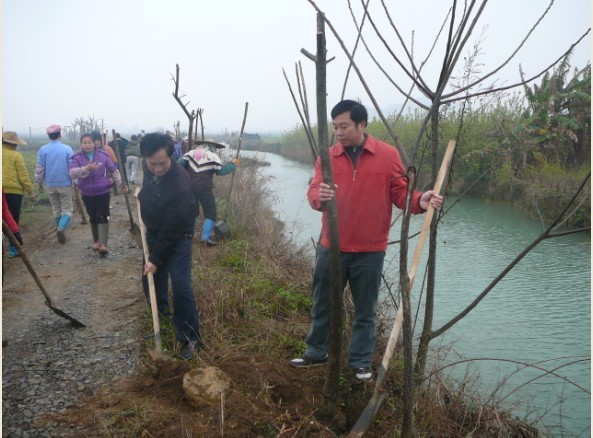 大地生态园观光水渠正在绿化中