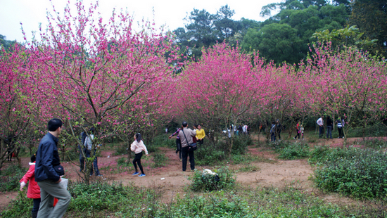 DSC04284.JPG