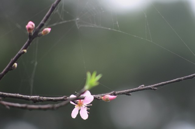 未命名7.jpg