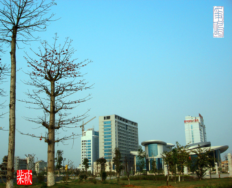 DSC033461a.jpg