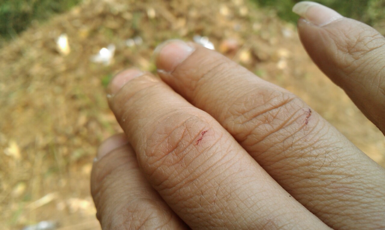 0_IMAG0060.jpg