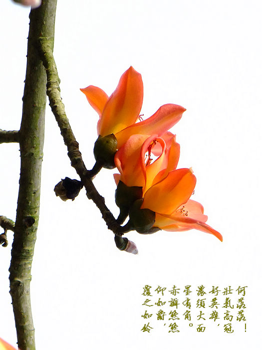 DSCF5670.jpg
