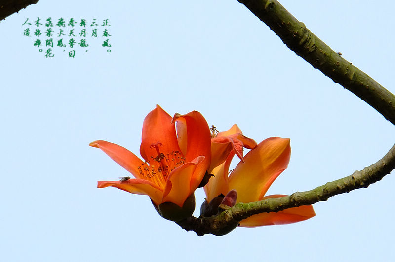 DSCF5679.jpg