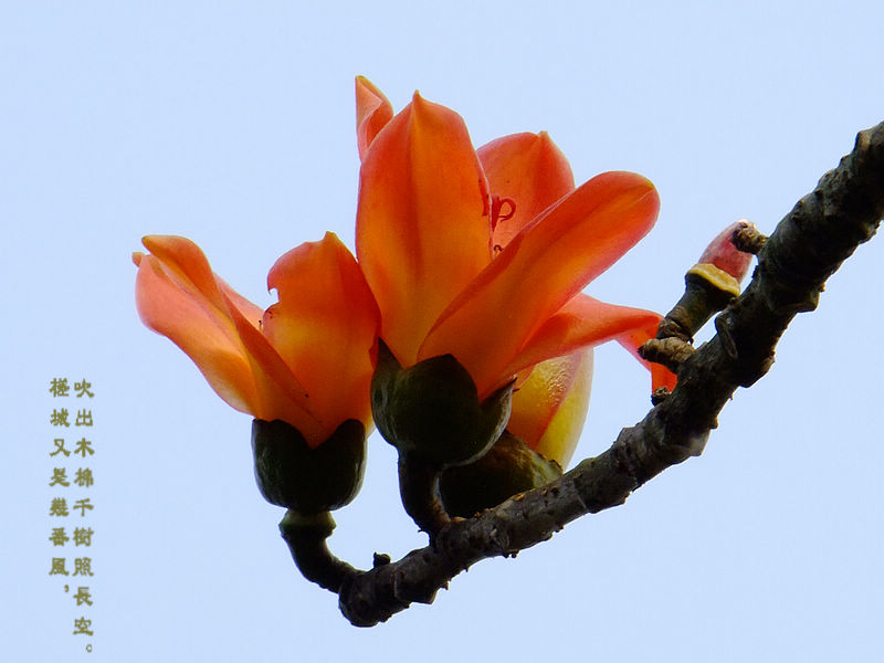 DSCF5718.jpg