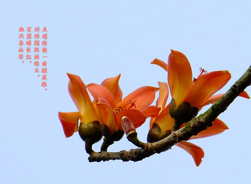 DSCF5749.jpg