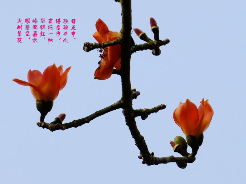 DSCF5703.jpg