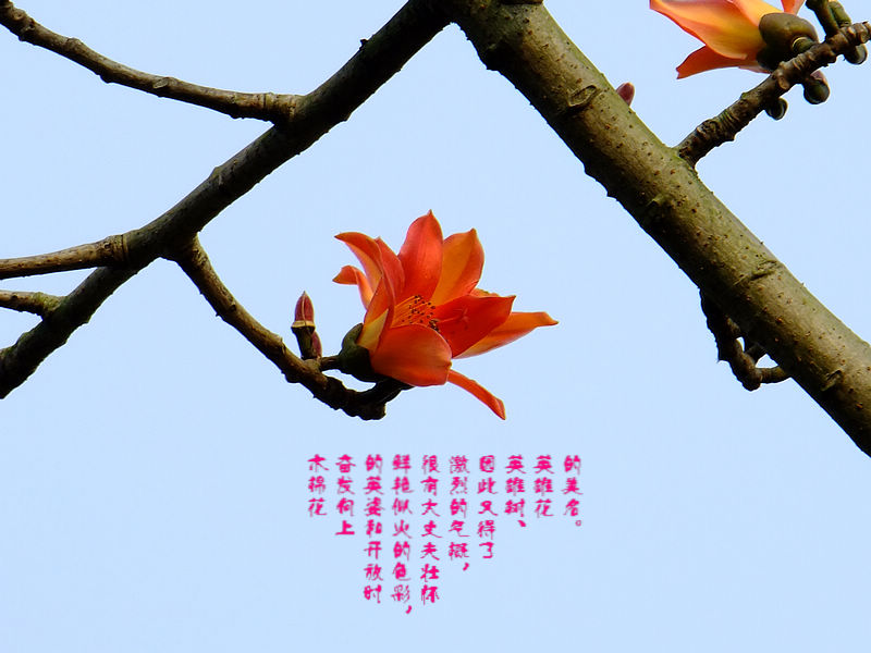 DSCF5723.jpg