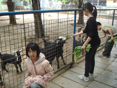 DSC02028_副本.jpg