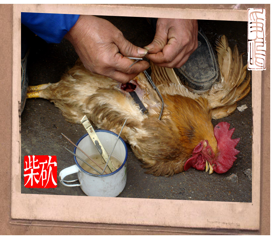 阉鸡佬4.jpg