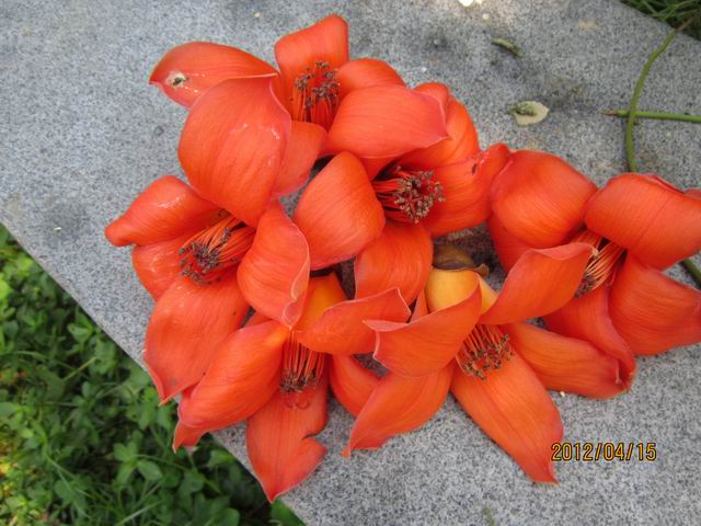 调整大小 IMG_0943.jpg