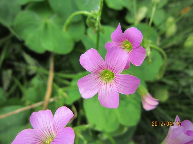 调整大小 IMG_0953.jpg