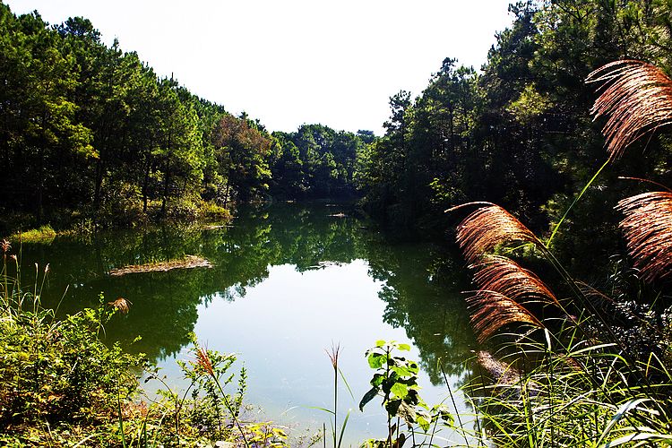 8高山碧湖.jpg