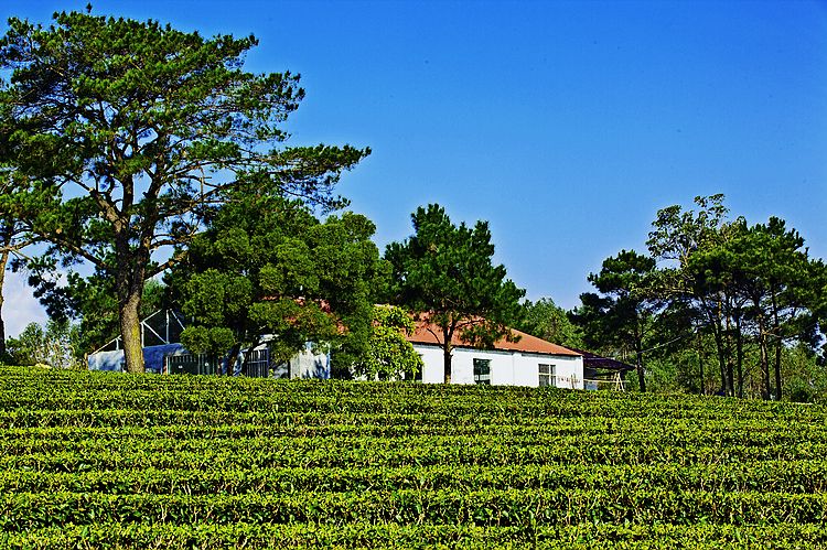 3圣山餐厅.jpg