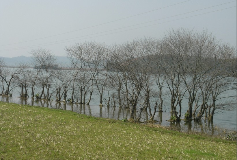 江口美景5