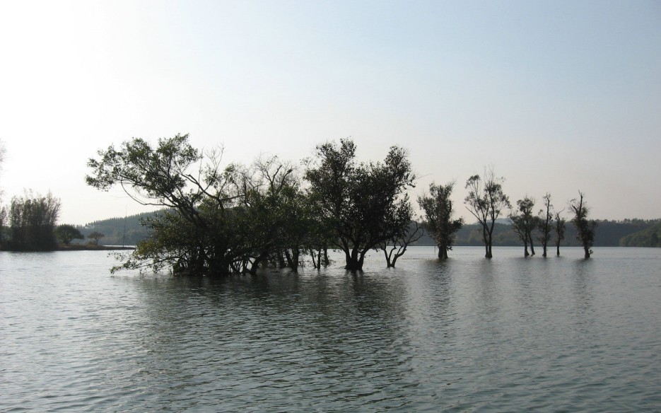 江口美景10