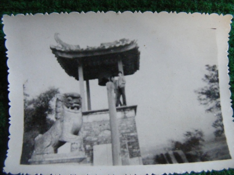 照片3 016.jpg