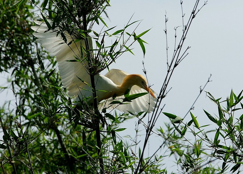 DSC04765.jpg
