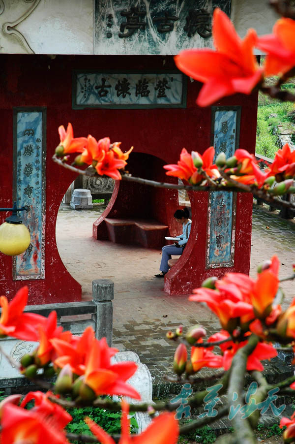 DSC_4803副本.jpg