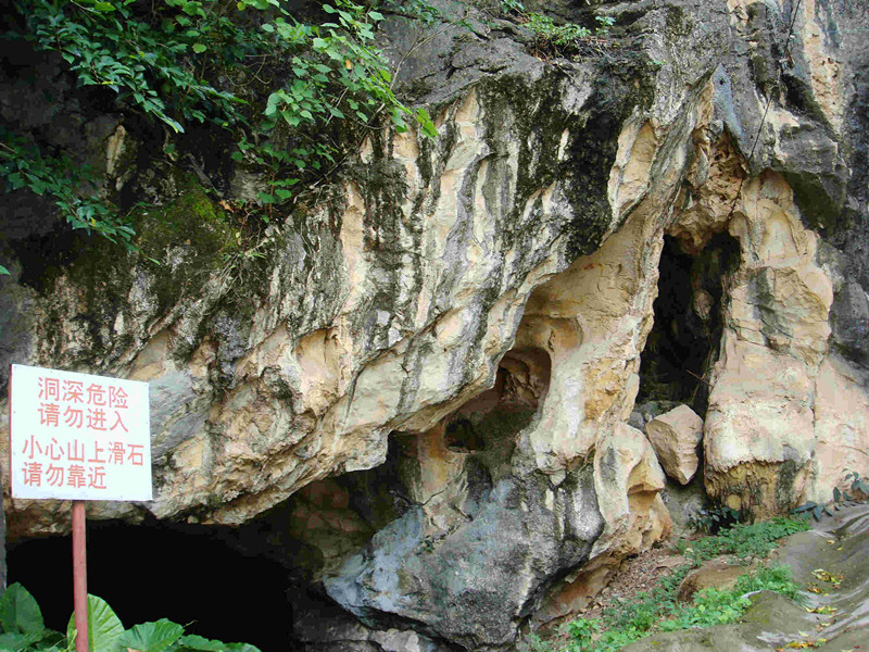 DSC00776_副本.jpg