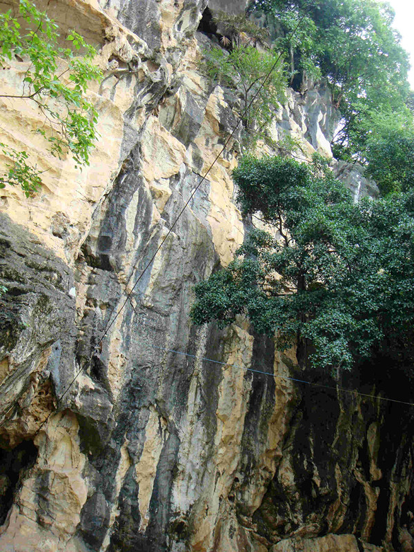 DSC00775_副本.jpg