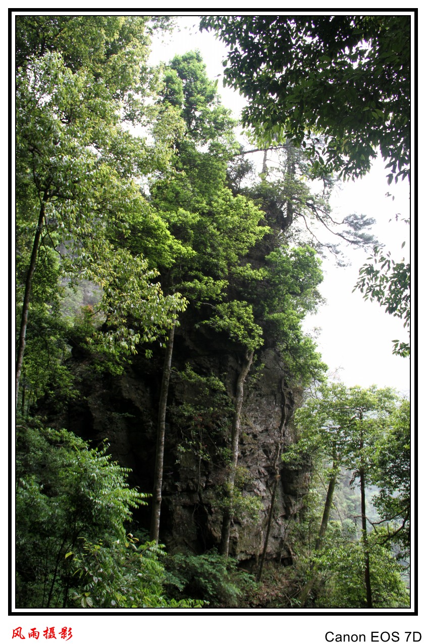 IMG_1263_conew1.jpg