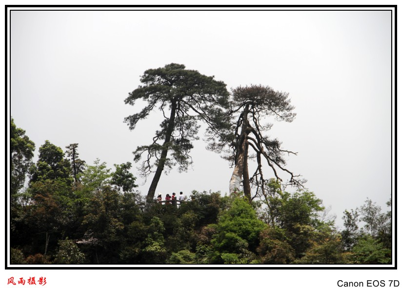 IMG_1279_conew1.jpg