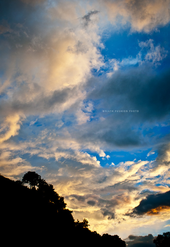 DSC_0724 副本.jpg
