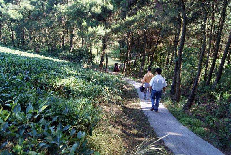 圣山85 (77).JPG