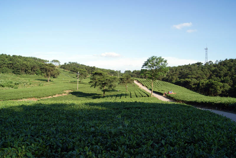 圣山85 (118).JPG