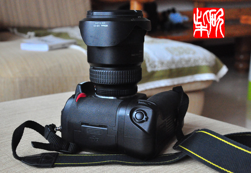 d300s-2.jpg