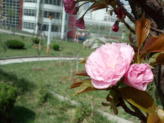 IMG664.jpg