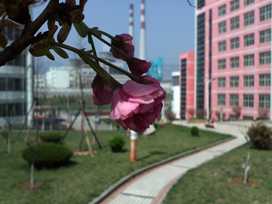 IMG715.jpg