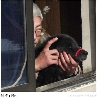 未命名.jpg