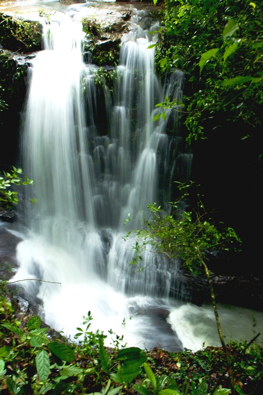 DSC06497.jpg