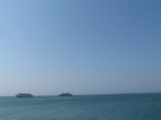 IMG_3695_1.JPG