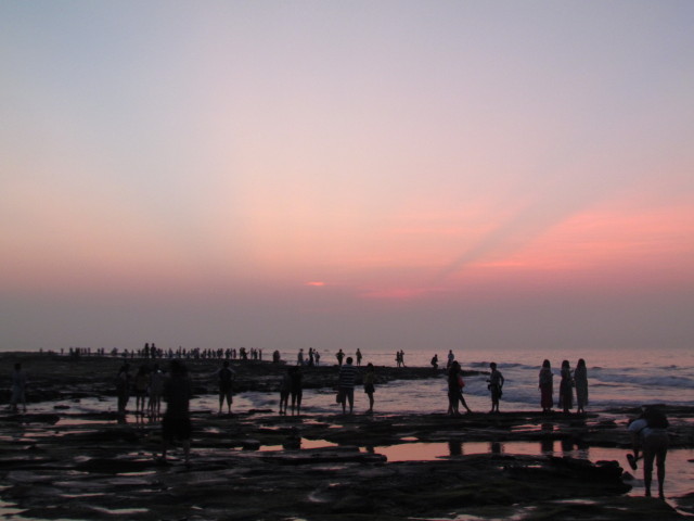 IMG_3478_1.JPG