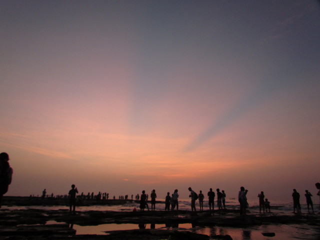 IMG_3483_1.JPG