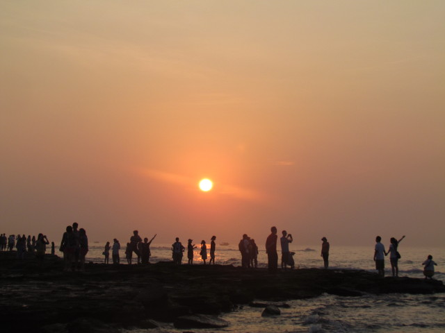 IMG_3536_1.JPG