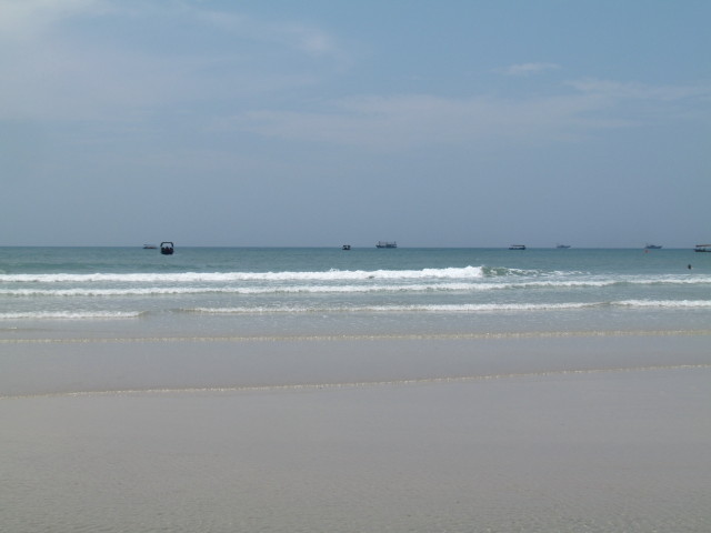 IMG_3648_1.JPG