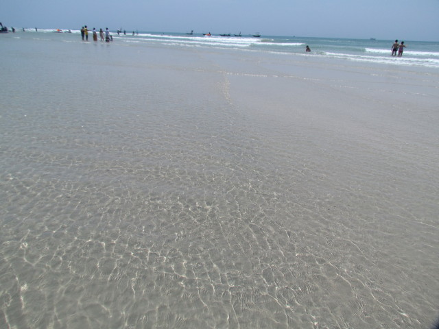 IMG_3653_1.JPG
