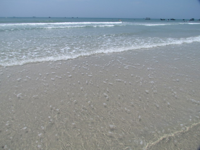 IMG_3665_1.JPG