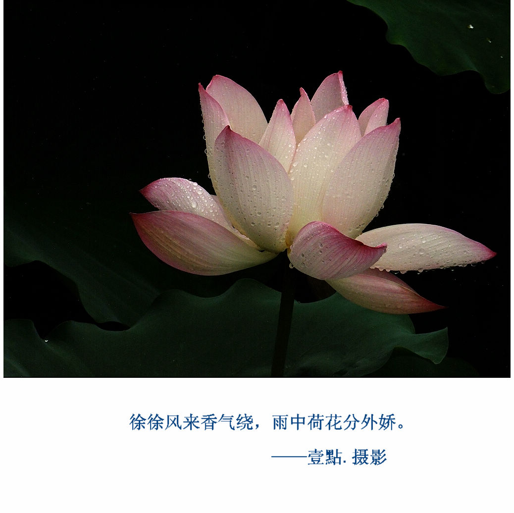 DSCF9237.jpg