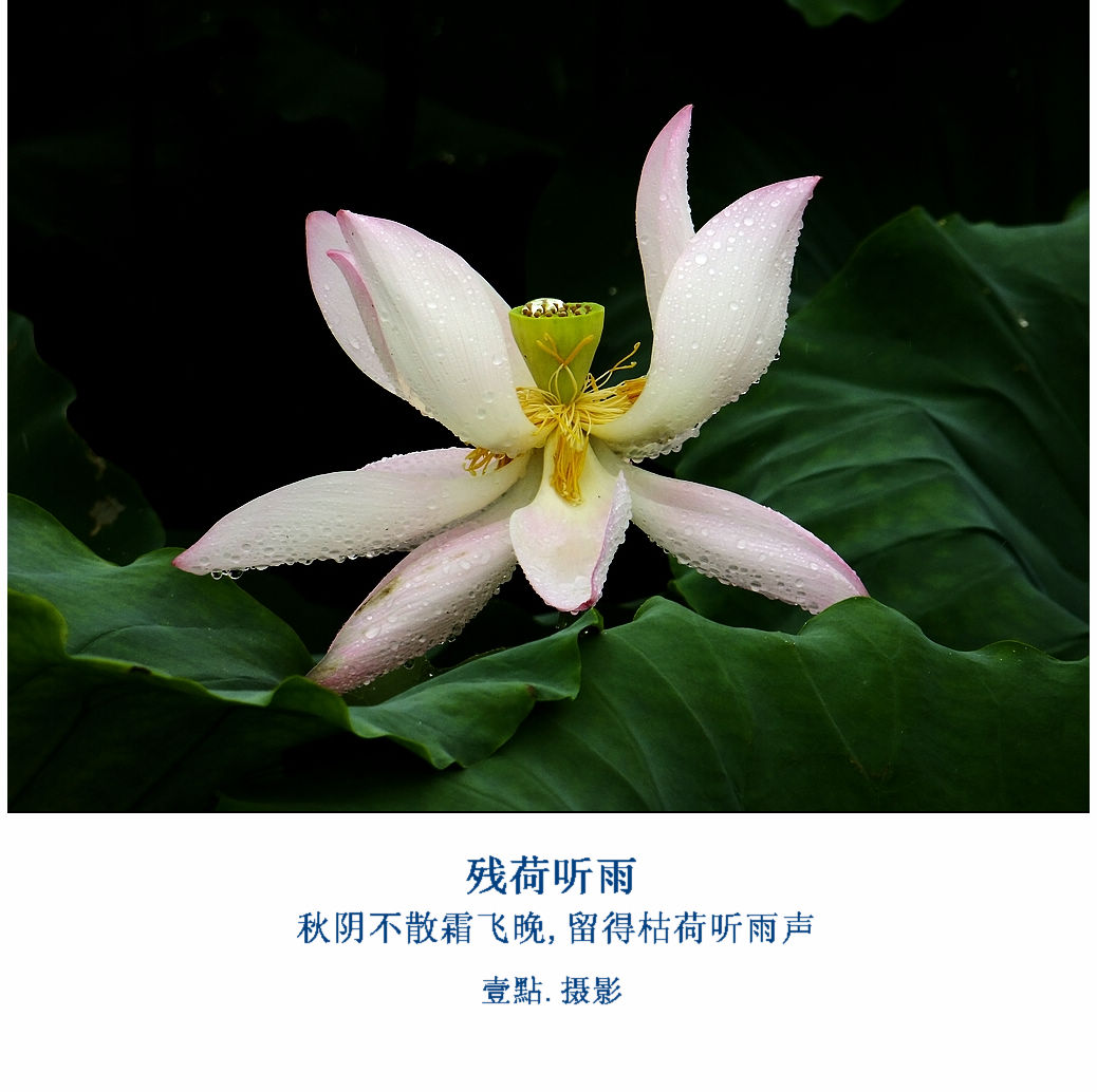 DSCF9278.jpg