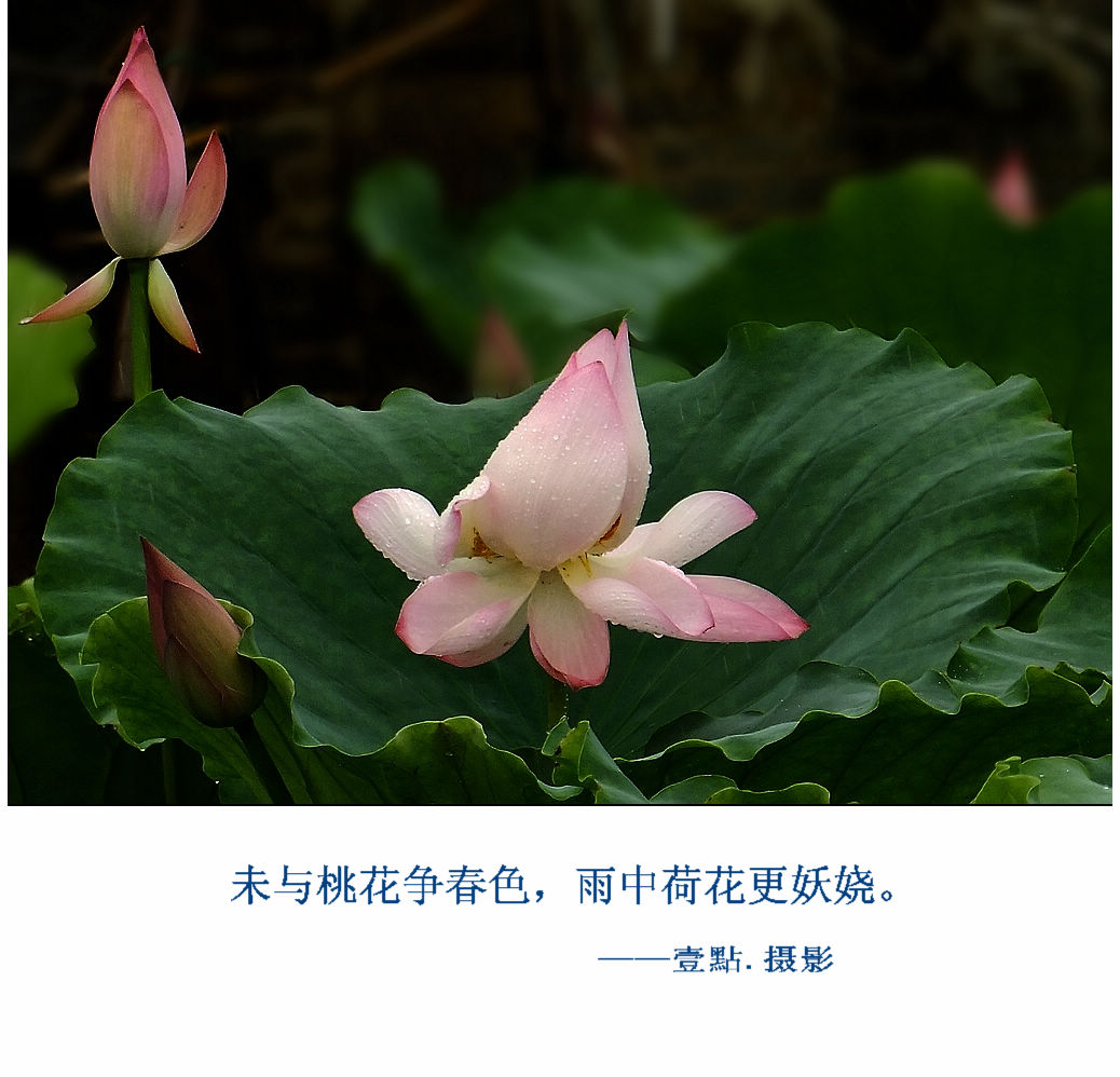 DSCF9286.jpg