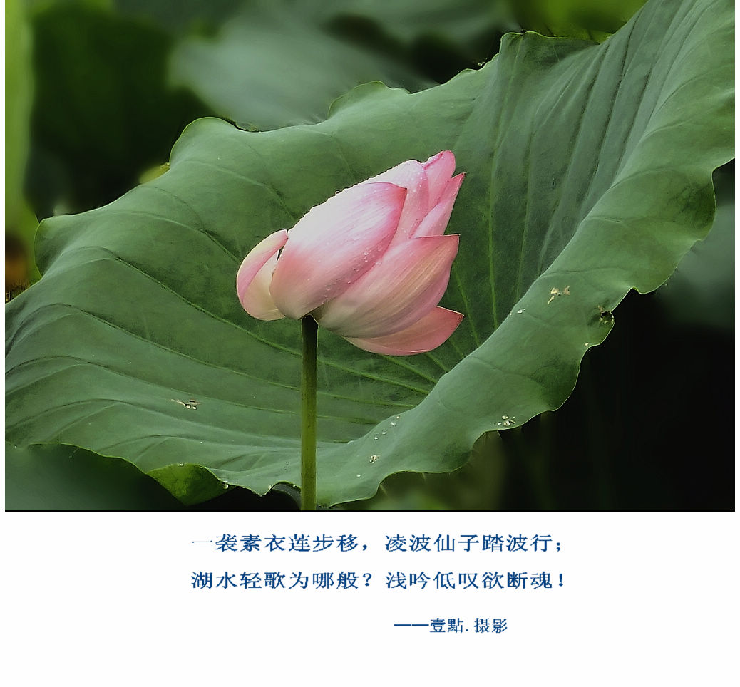 DSCF9307.jpg